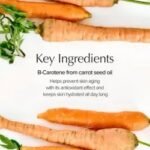 🥕 SKINFOOD – Carrot Carotene Calming Water Pad – Image 4