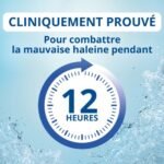 CB12 Bain de Bouche Haleine Fraîche Menthe – Image 4