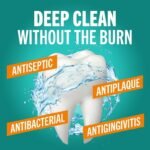 🦷 TheraBreath Deep Clean Oral Rinse – Menthe Fraîche (Fresh Mint) – Image 3