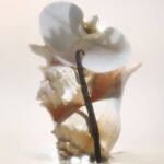 🤍 SALTAIR Salt Water Vanilla — Lait Corps Régénérant – Image 3