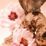 🌸 SALTAIR Santal Bloom — Lait Corps Nourrissant – Image 3